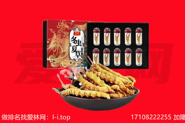 阳曲县回收虫草.jpg